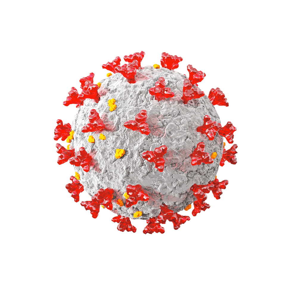 Ключевые направления